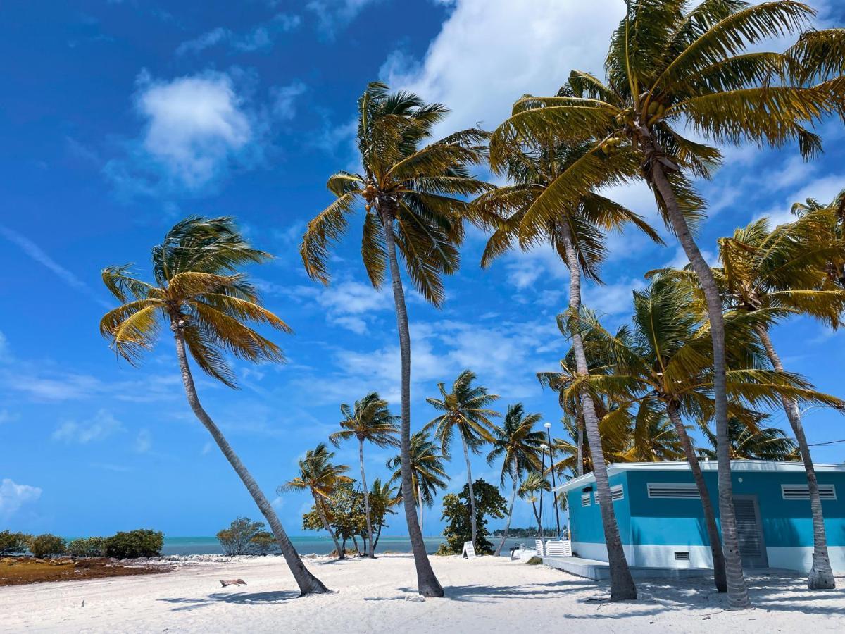 South Of Fifth Ocean Drive Apt Miami Beach Exteriör bild